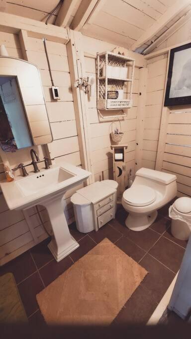 Grant Island Waterfront Cottage Brantingham Lk - Hottub, Pontoon Boat, Pets Glenfield Eksteriør billede